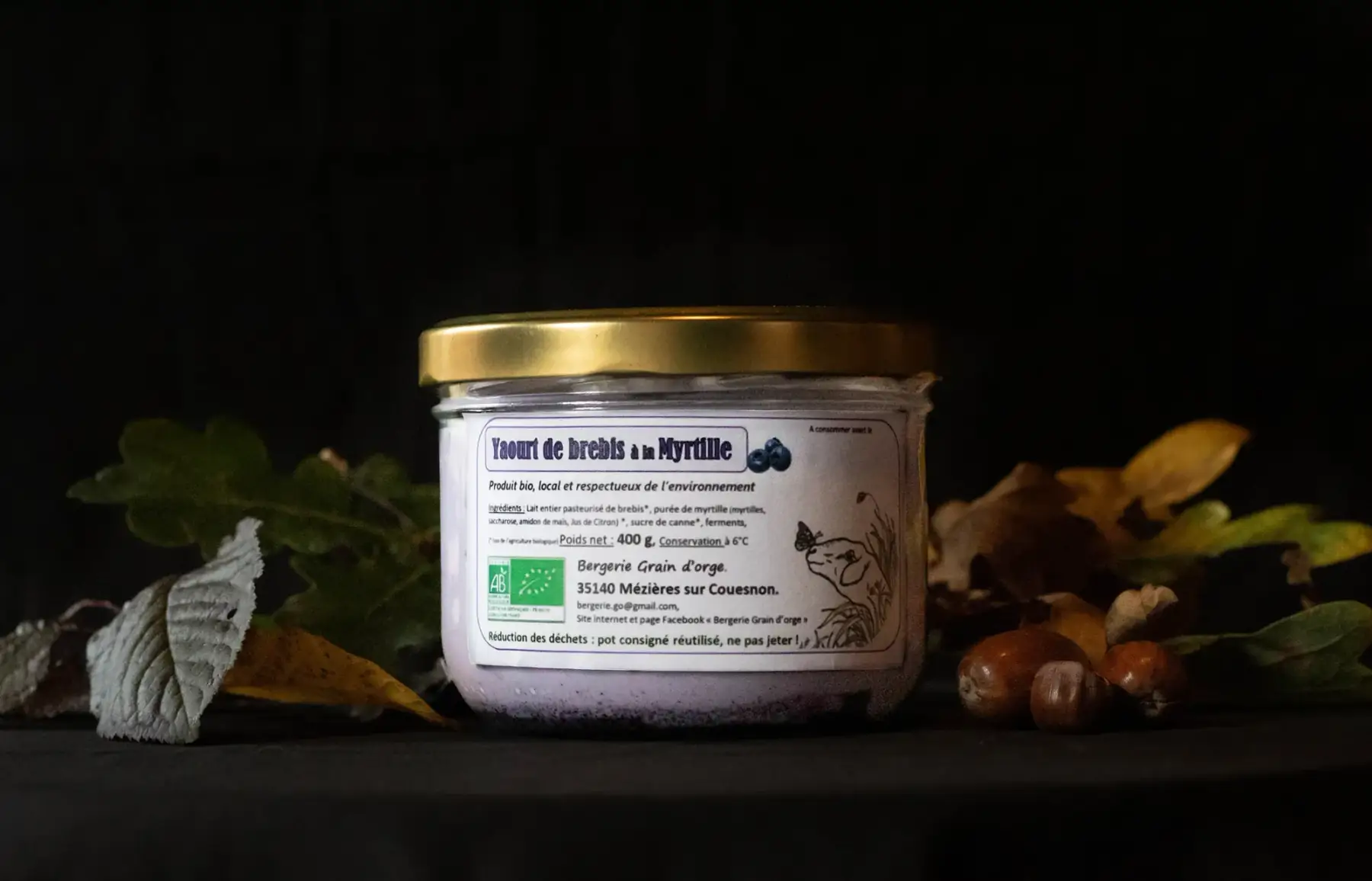 yt 4 - yaourt de brebis myrtille -