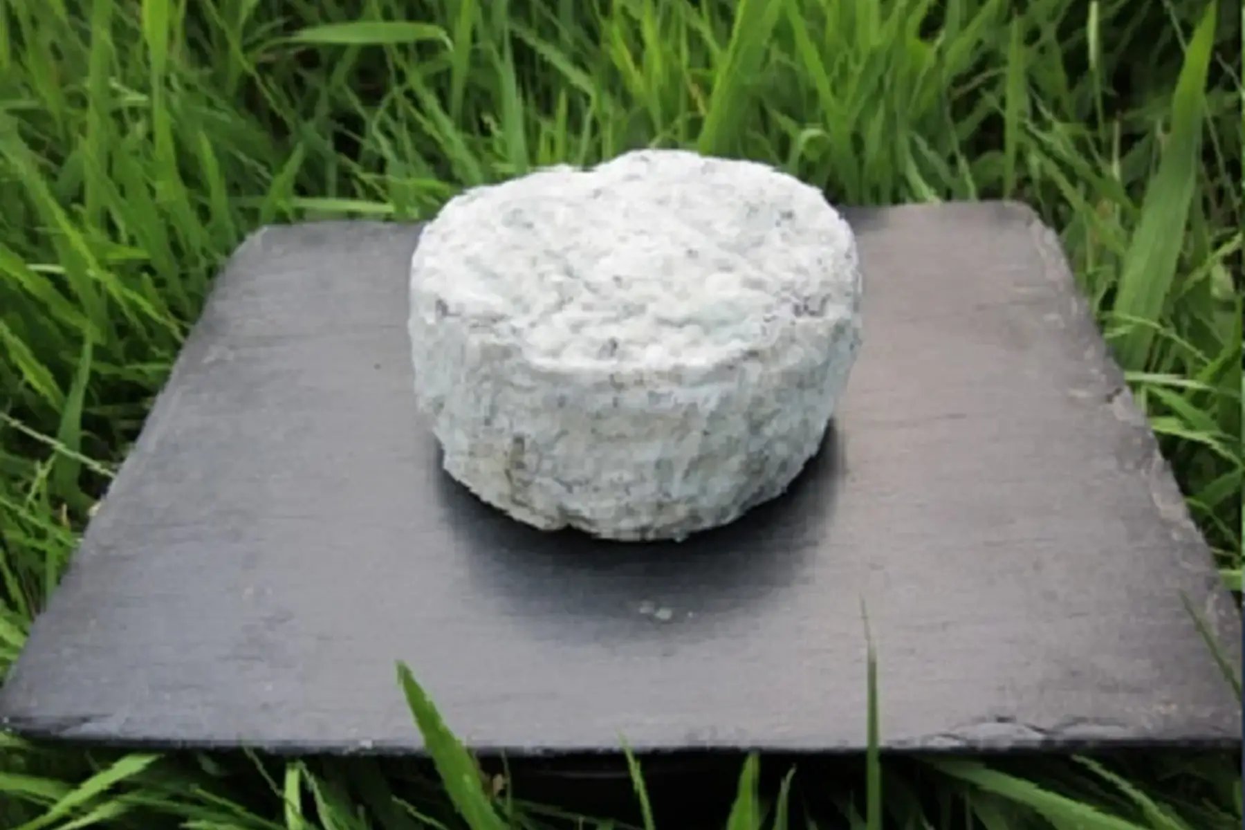 Rond 1/2 sec cendré