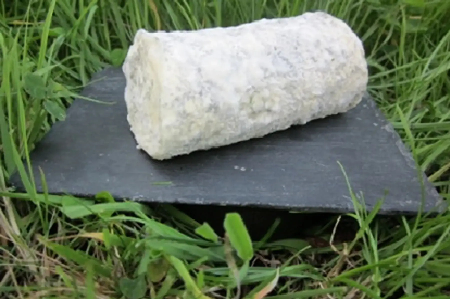 Bûche 1/2 sèche cendrée