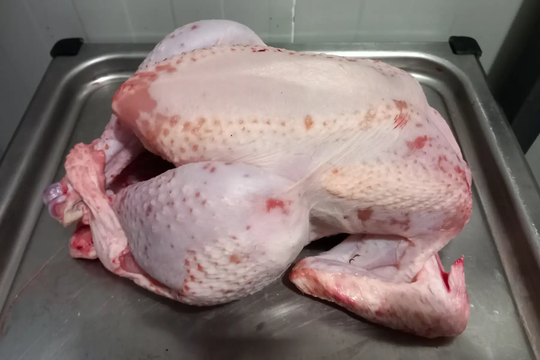 poulet fermier gros