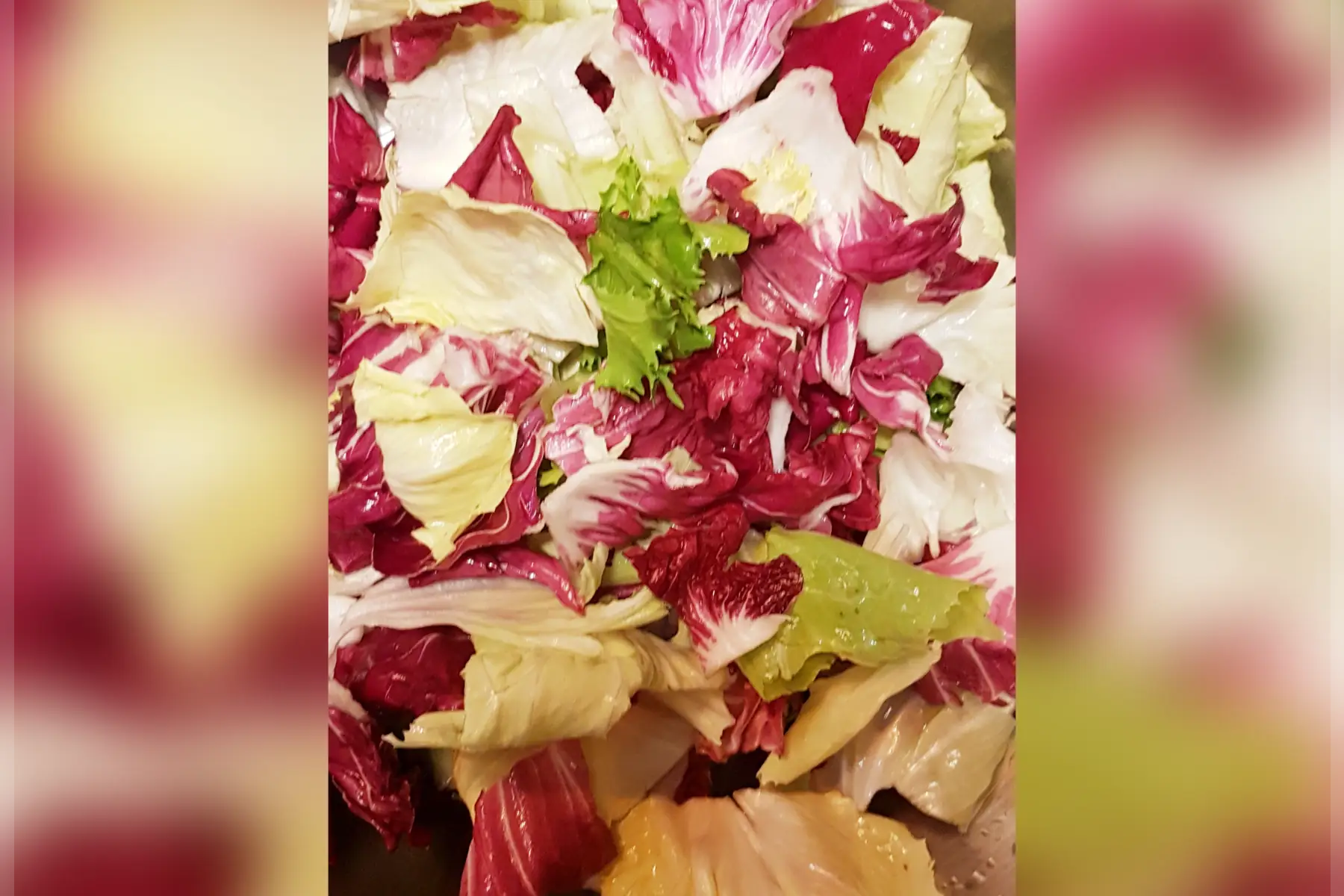 Mélange de chicorées