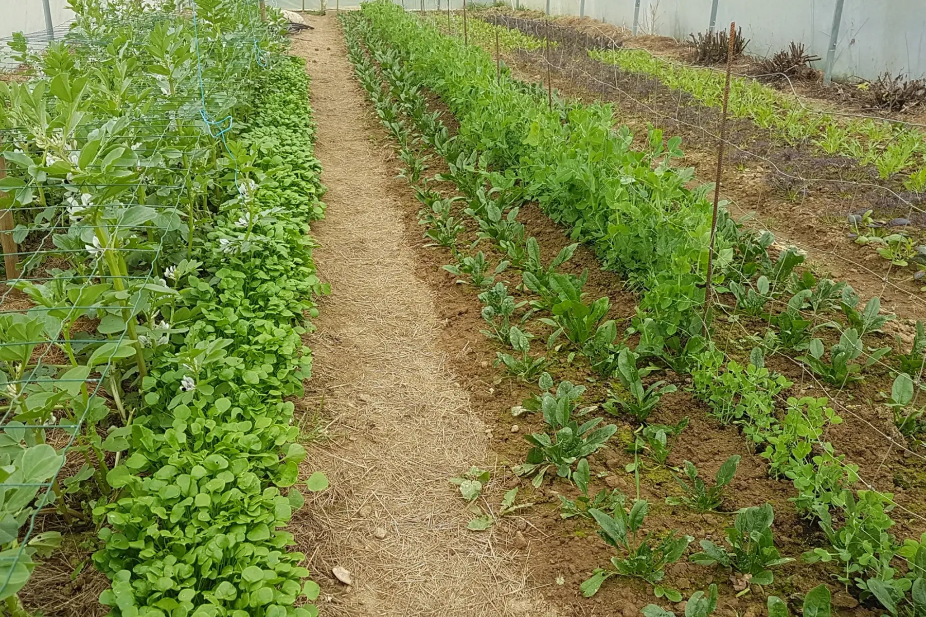 les jardins du Tellier