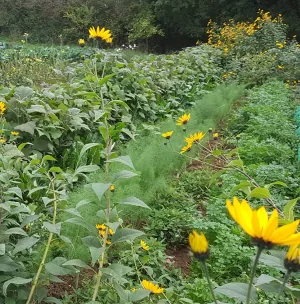 les jardins du Tellier