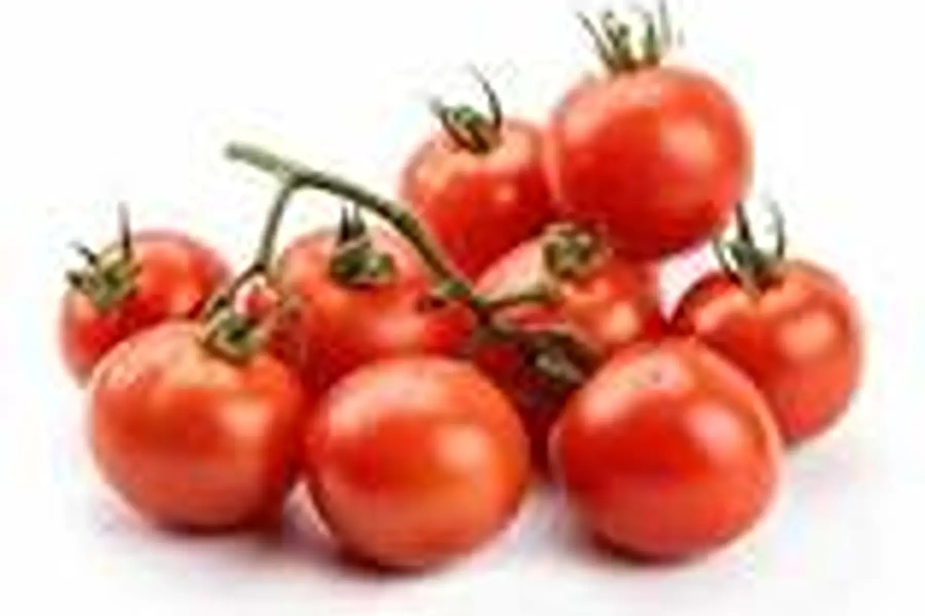 barquette de tomate cerise
