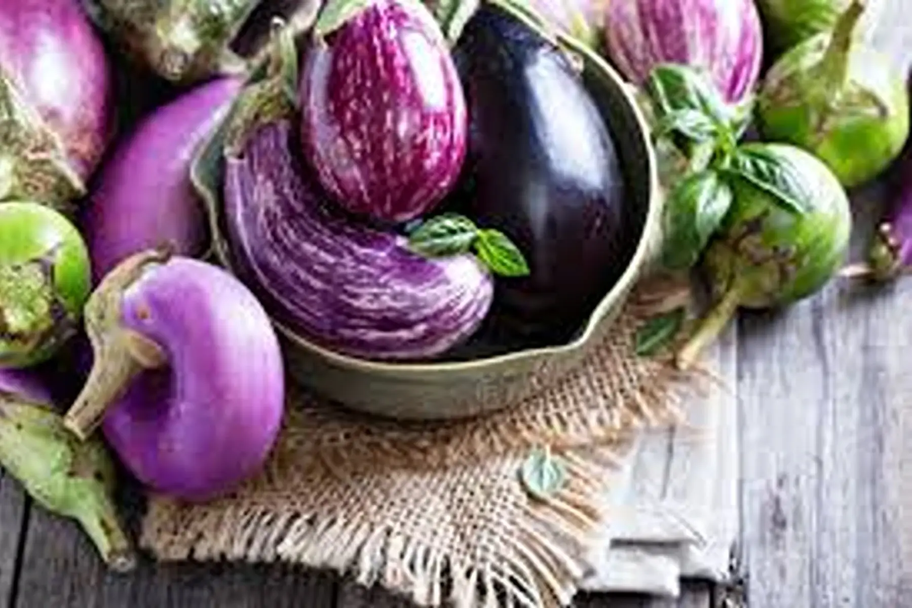 Aubergine