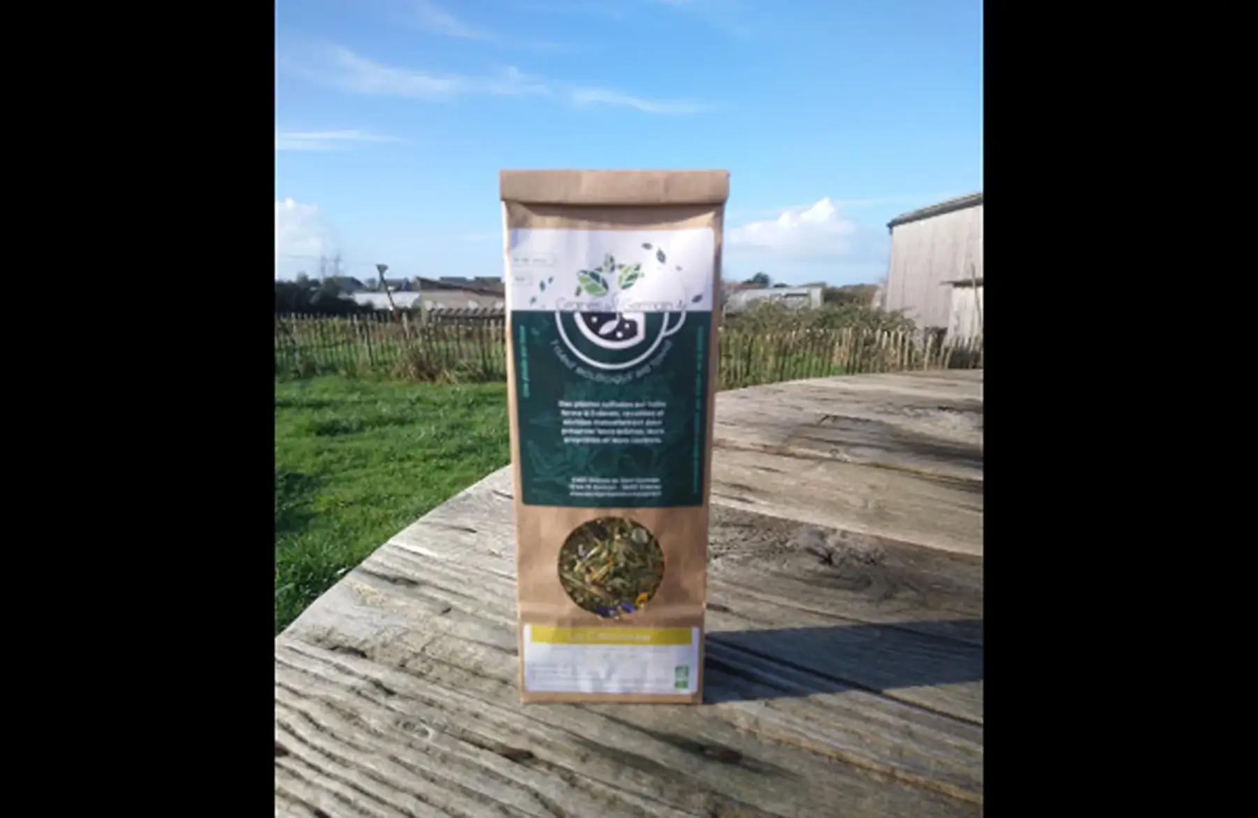 Graines de saint germain