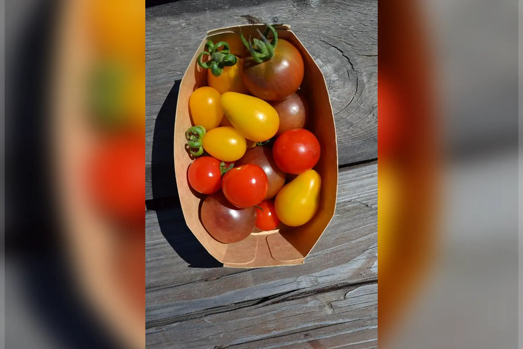 tomate cerise (barquette de 250g)