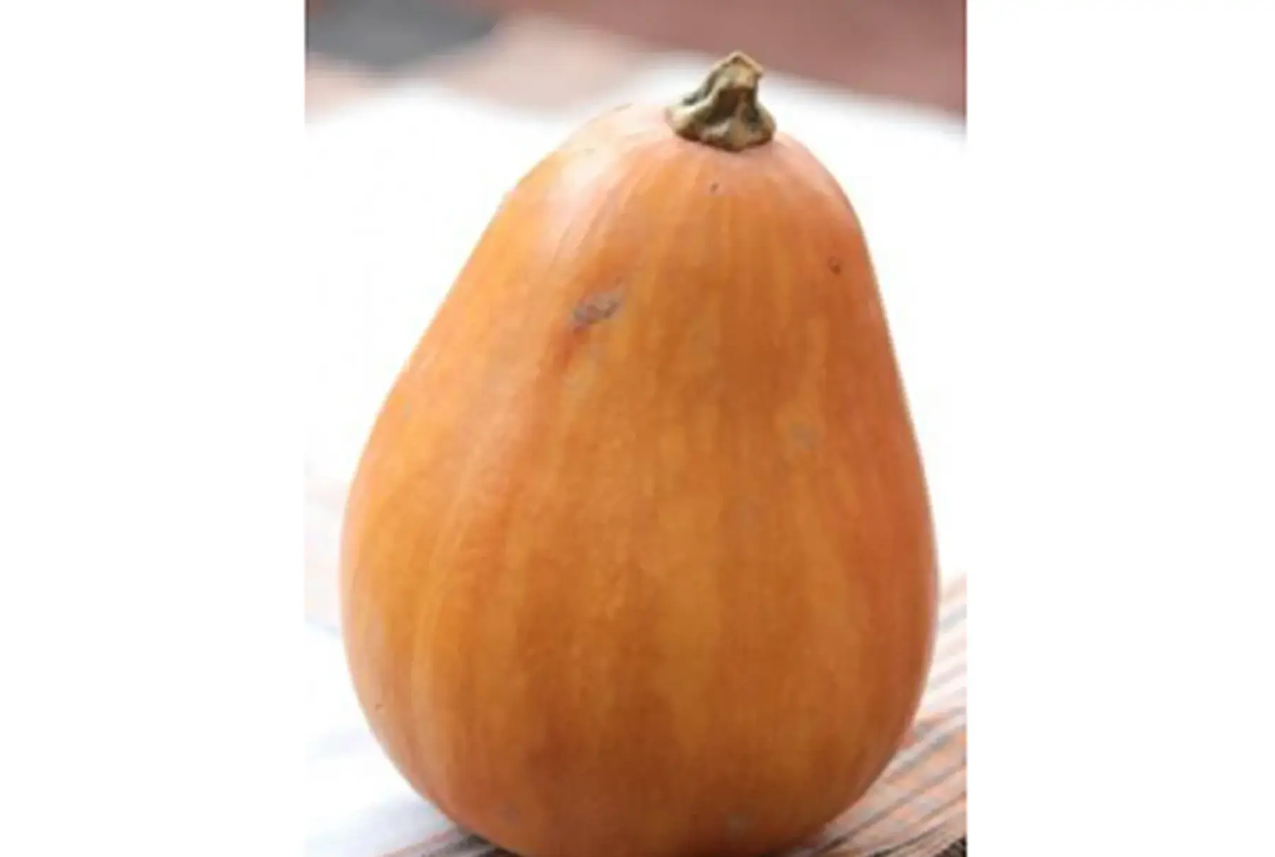 courge sucrine du berry moyenne pièce d'environ 1,8kg