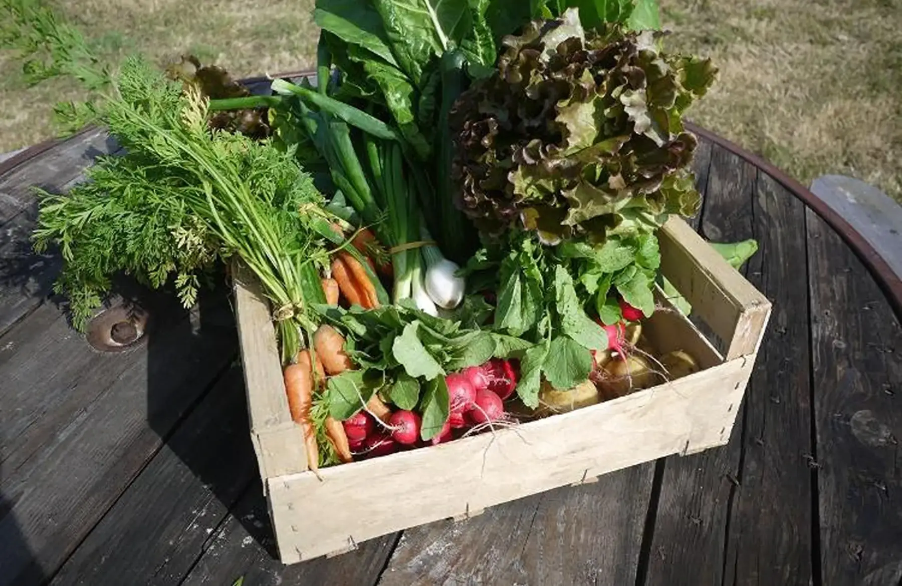 - panier de légumes prédéfini (cf description) - 25€