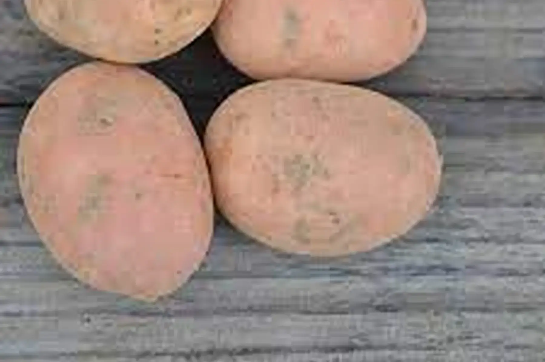 pommes de terre chair tendre