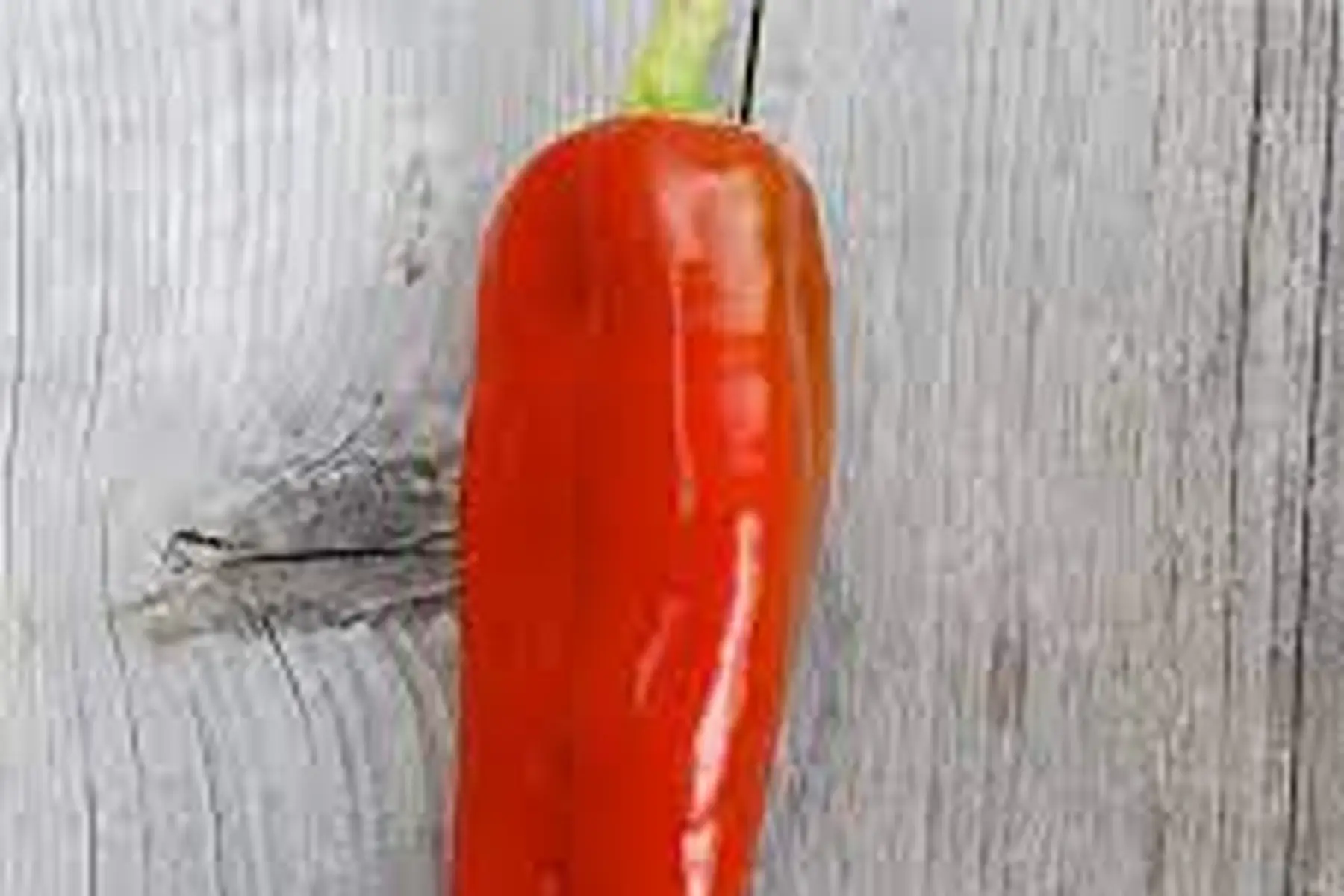 poivron rouge