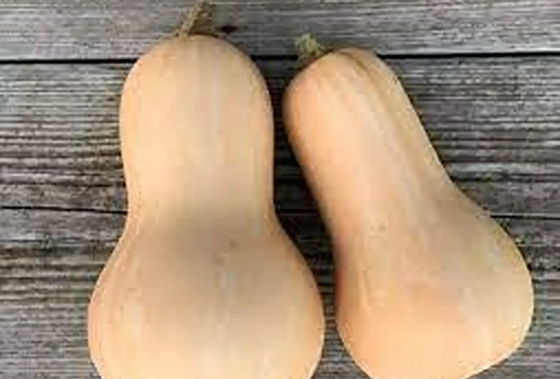 courge déclassée, coupée en 2 (butternut) moyenne pièce d'environ 1kg800