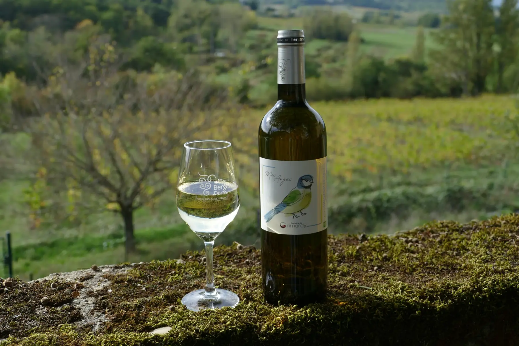 montravel blanc sec, mes anges 2021