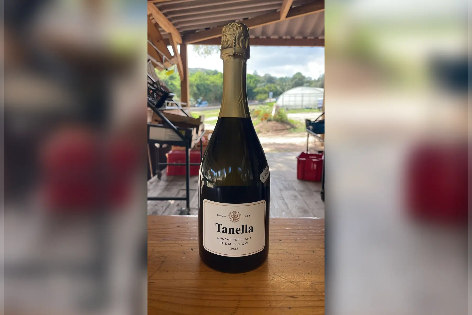 Muscat pétillant (demi-sec) – 23,80 €