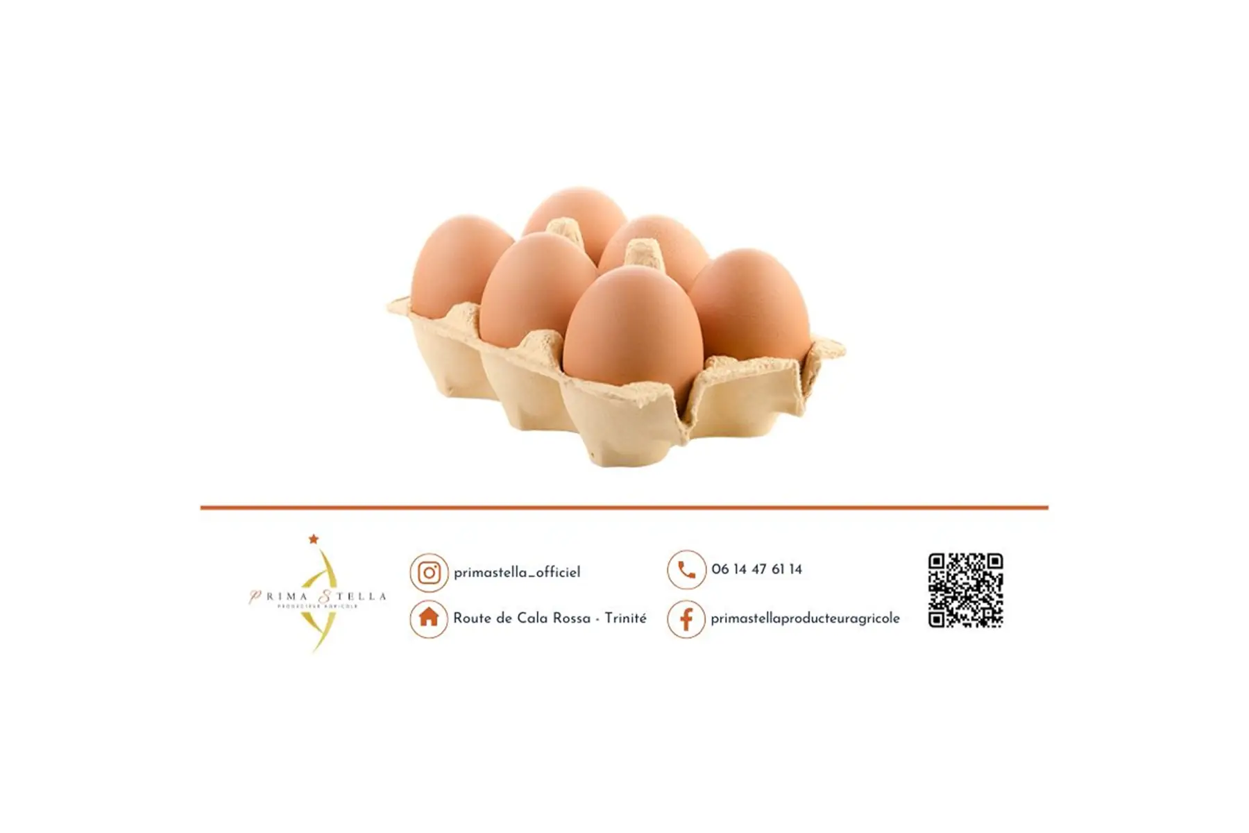 Boîtes d'œufs (par 6)