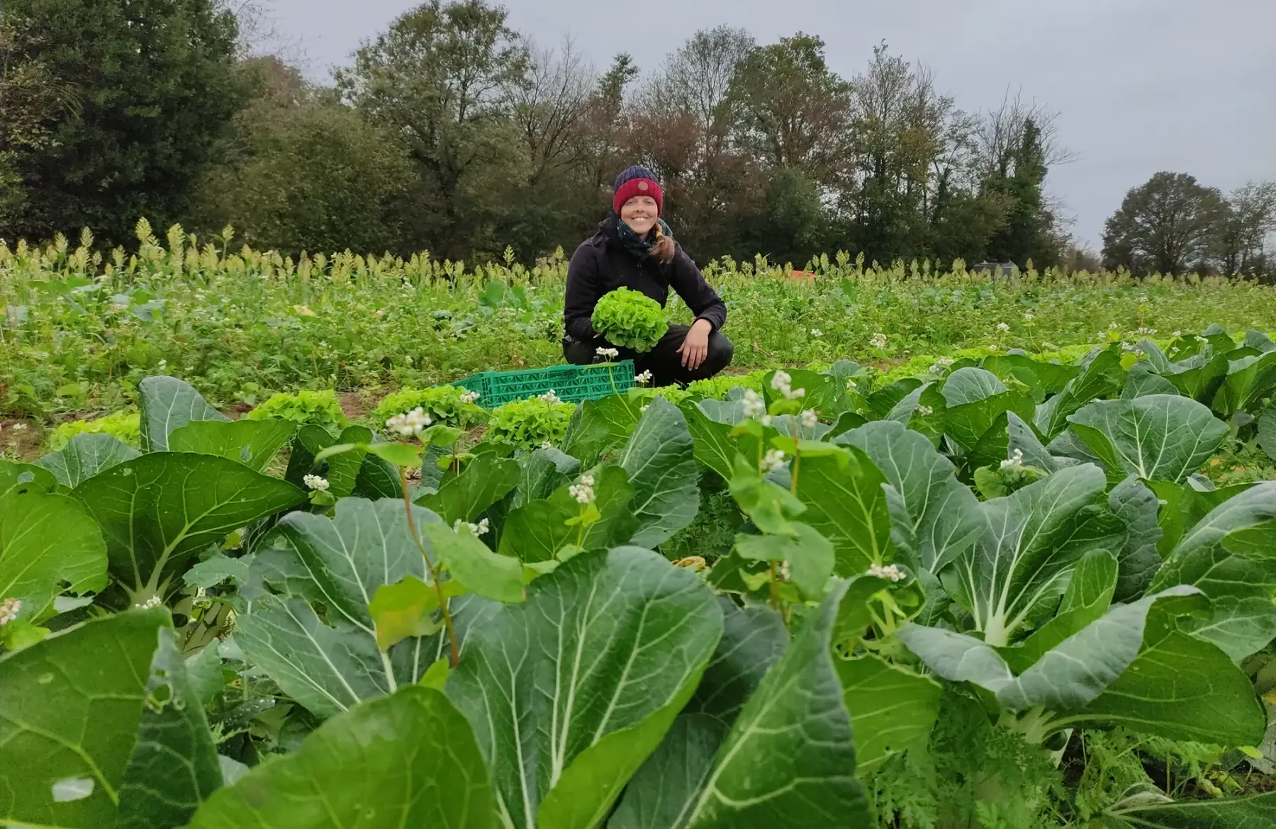GAEC des trois chemins