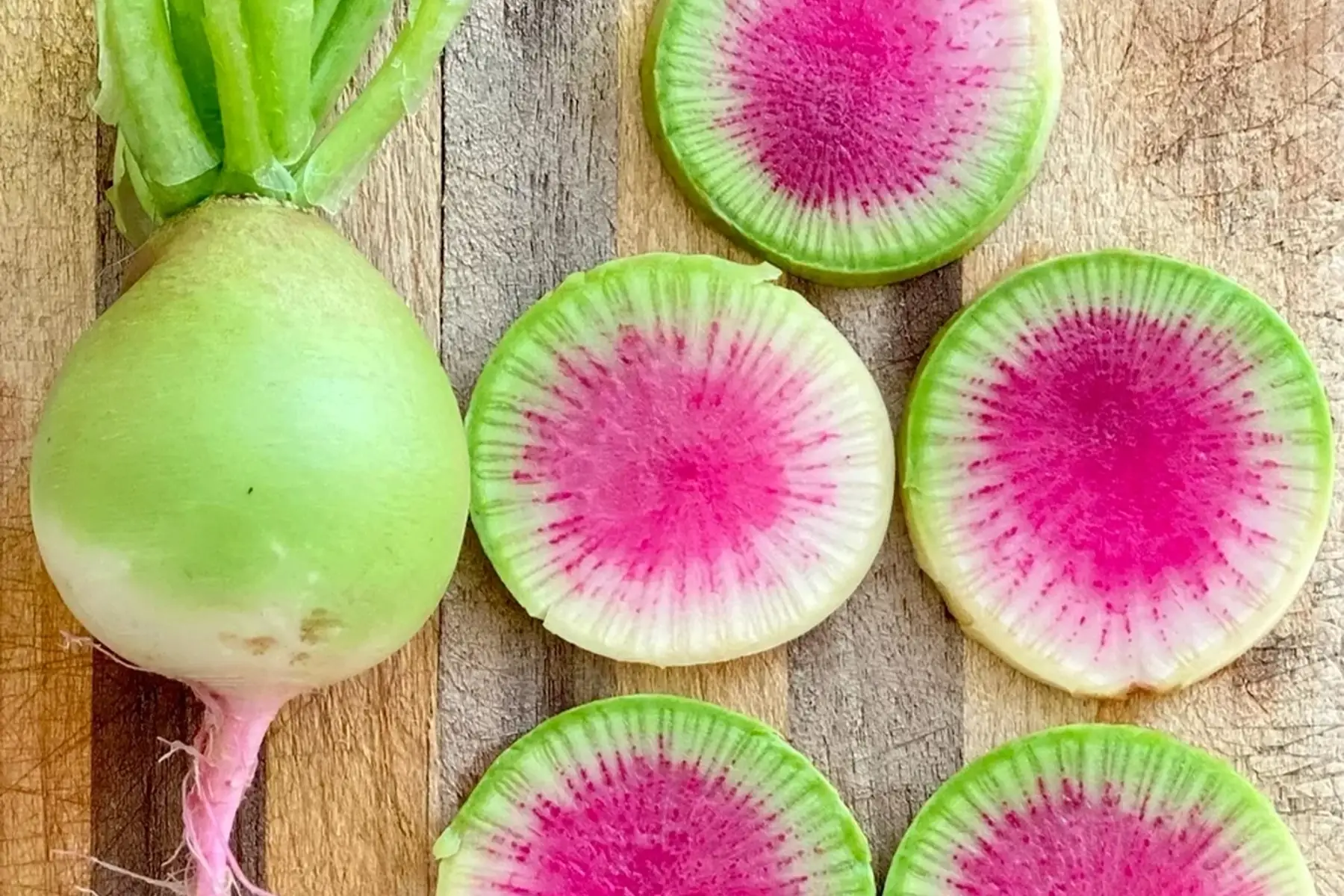 radis d'hiver red meat