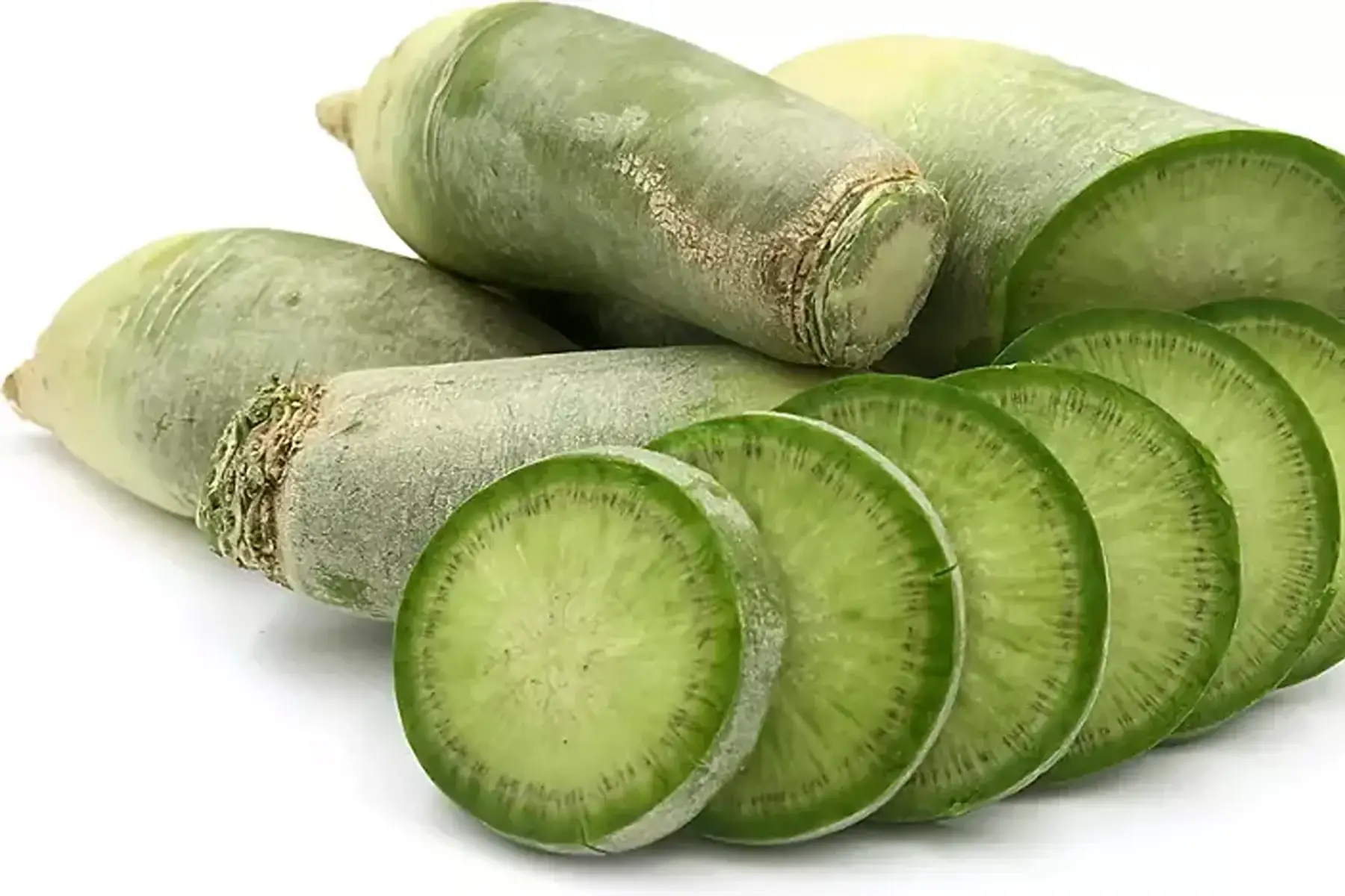 radis d'hiver green meat