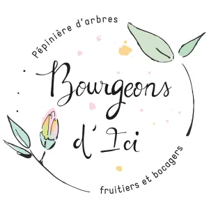 scea pepiniere bourgeons d'ici