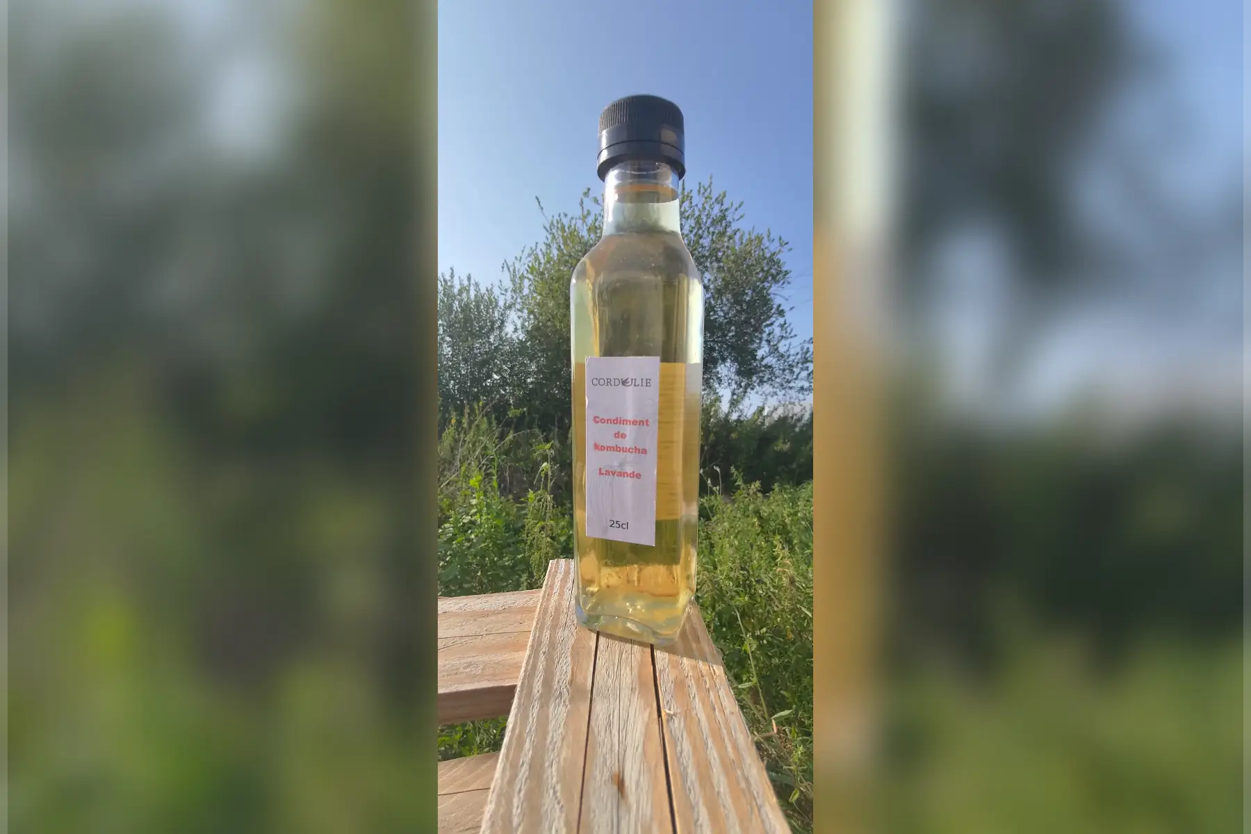 Condiment de kombucha lavande