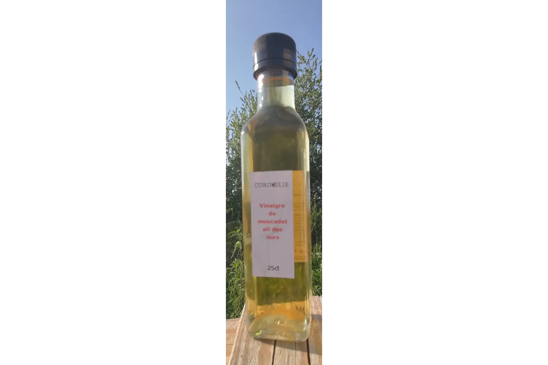 Vinaigre de muscadet à l'ail des ours
