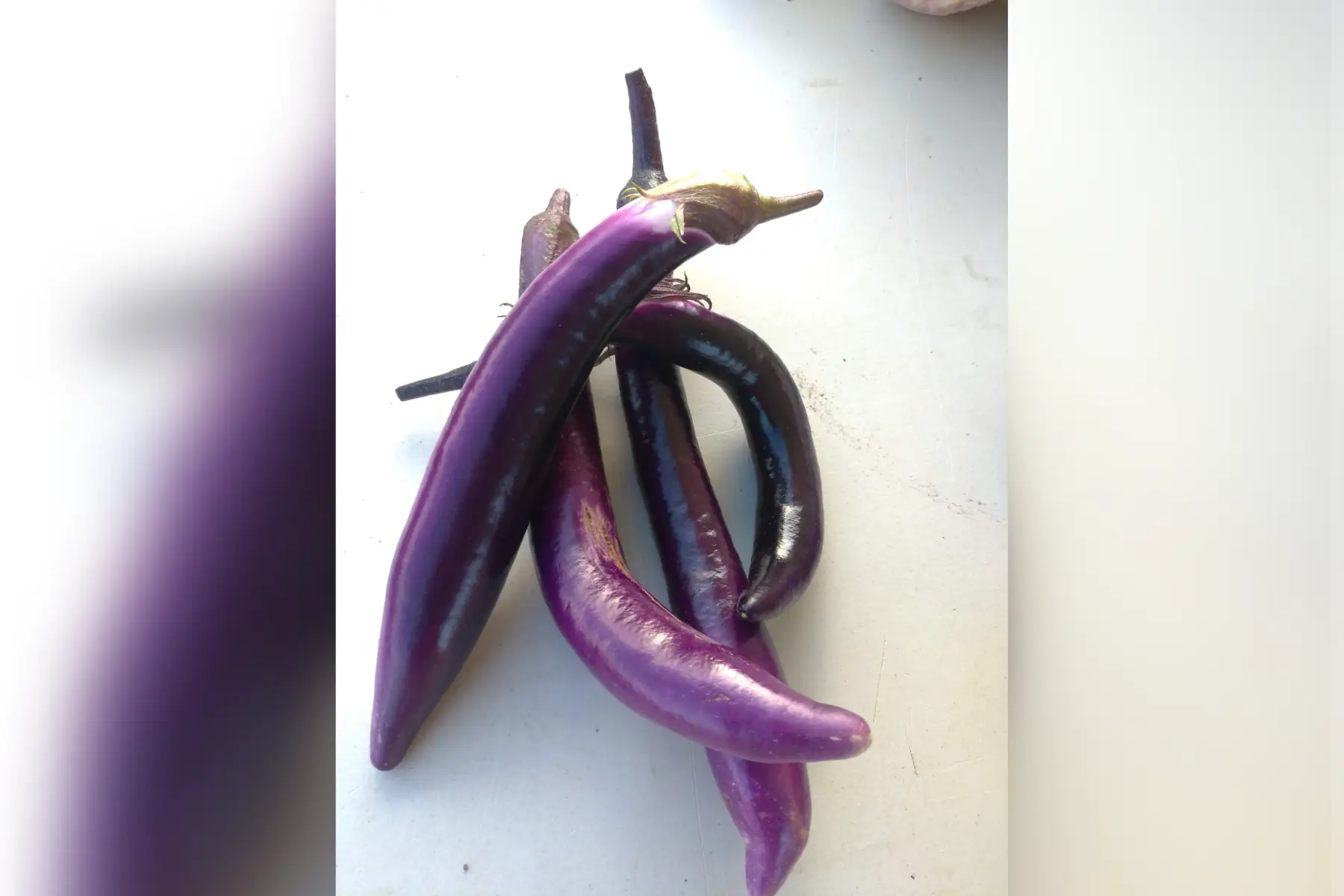 aubergine "japanese pickling"