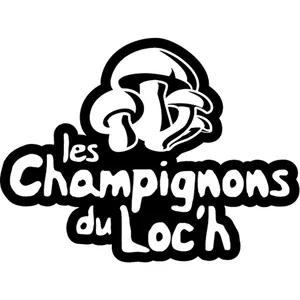 Les champignons du Loch