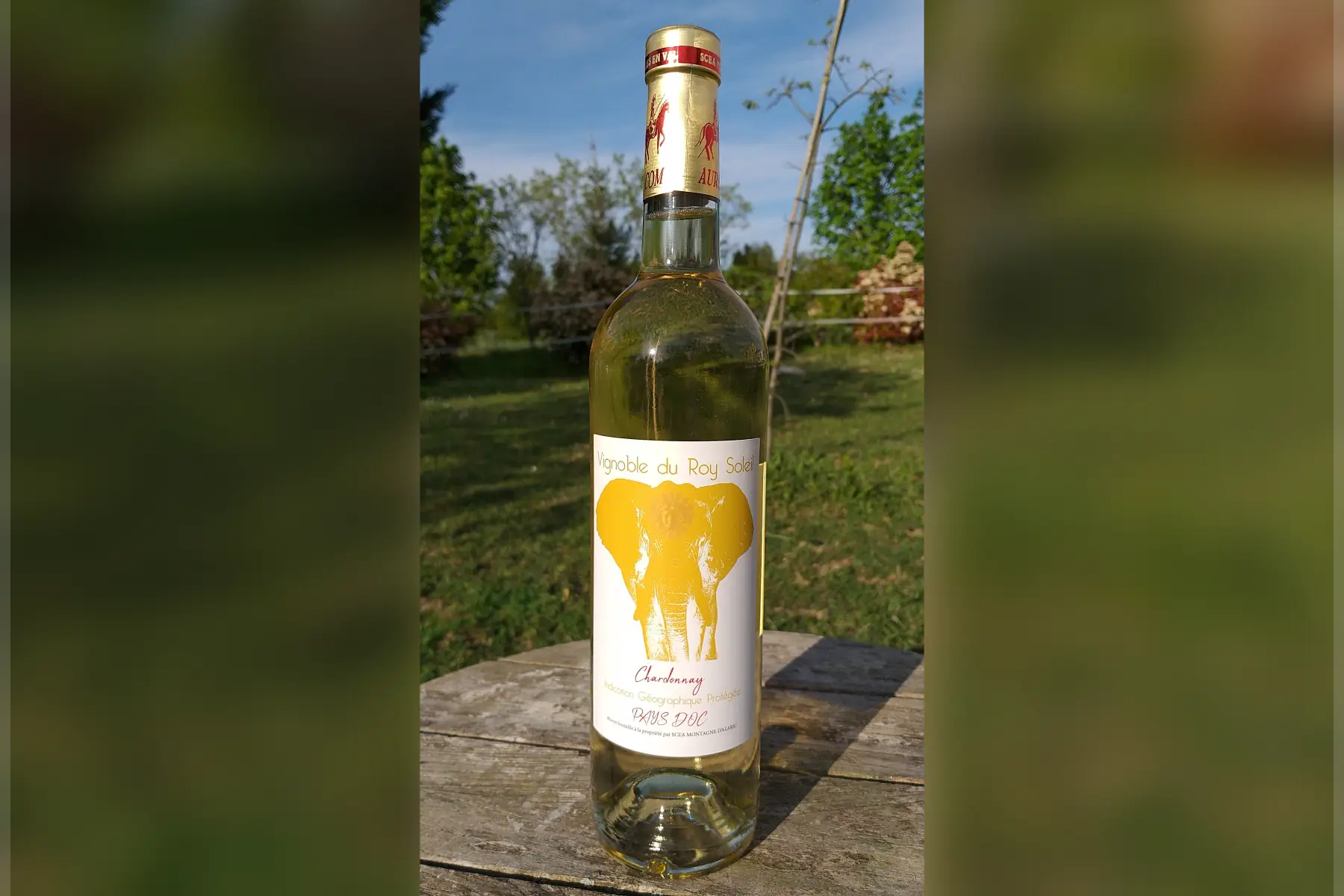 vin blanc chardonnay elephant 2021