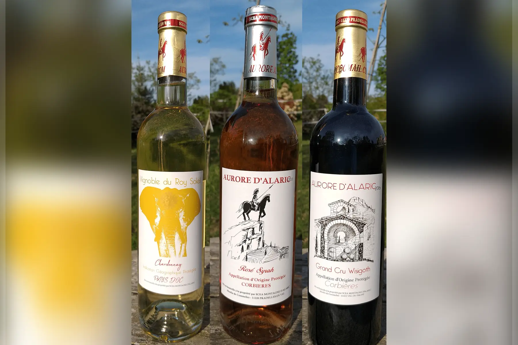 assortiment barbecue 3 couleurs