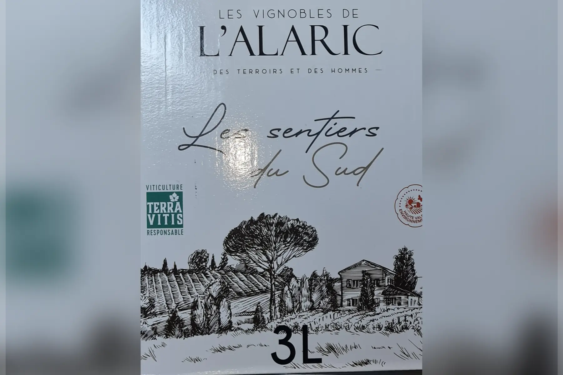 bib 3 litres vin rouge merlot