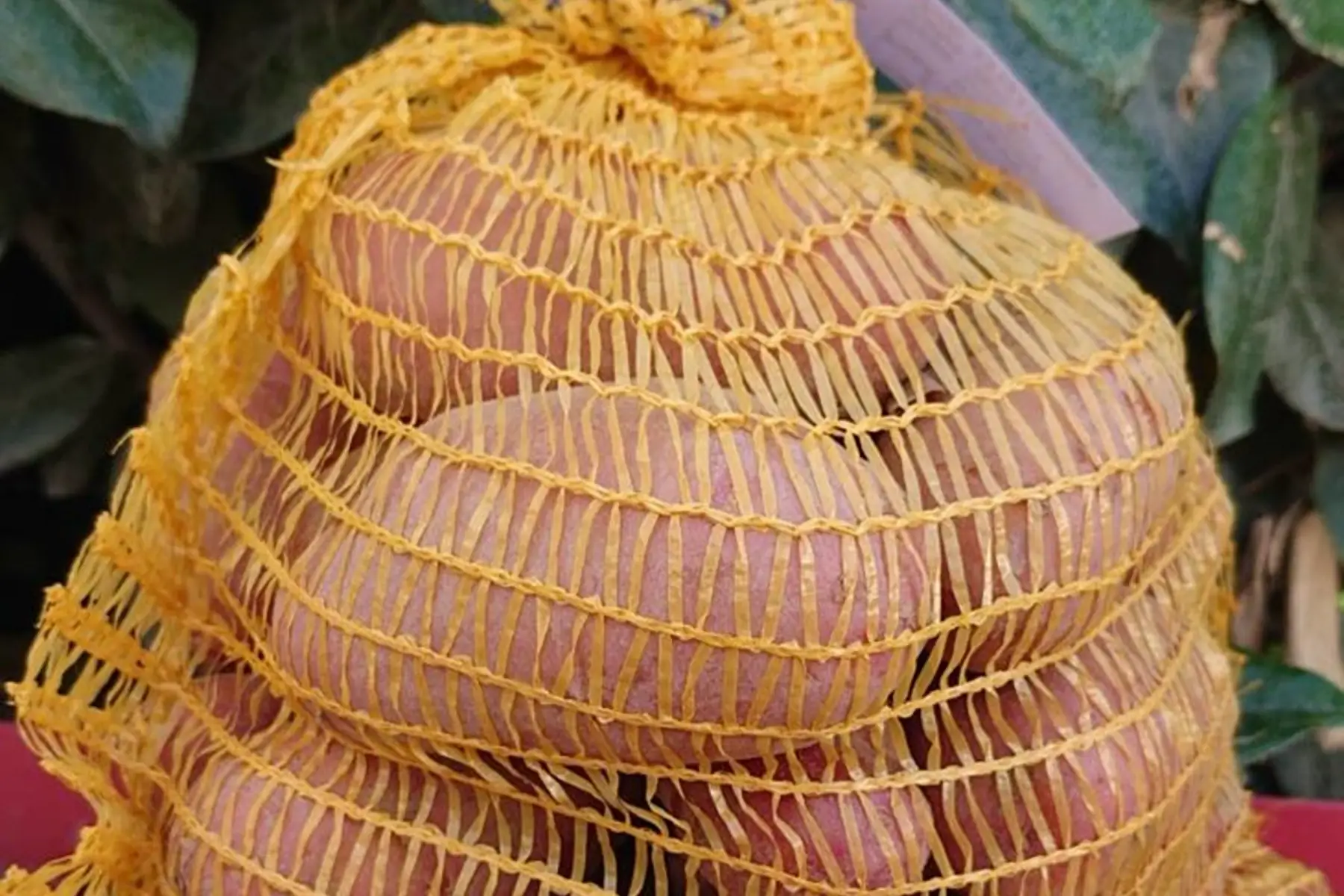 Sac de pomme de terre désirée 5 kg