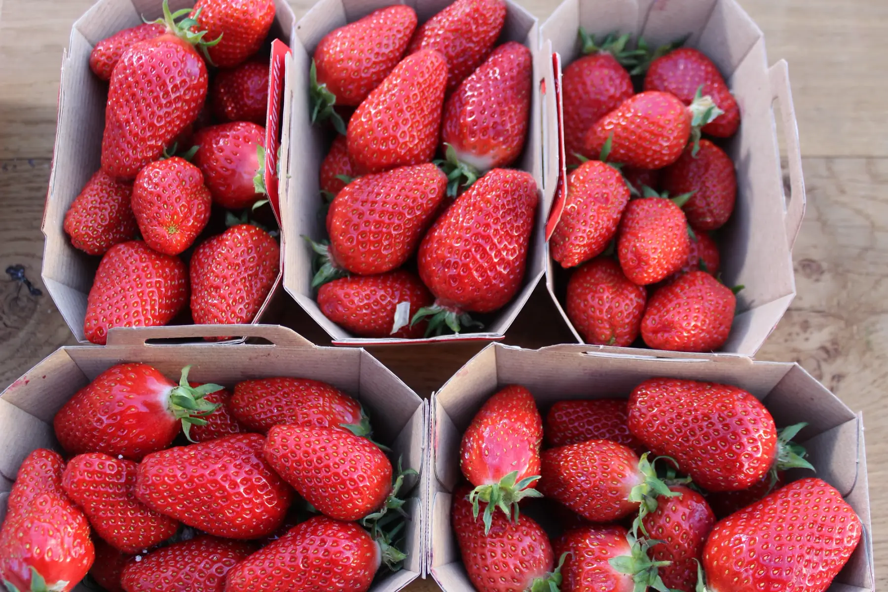 fraise