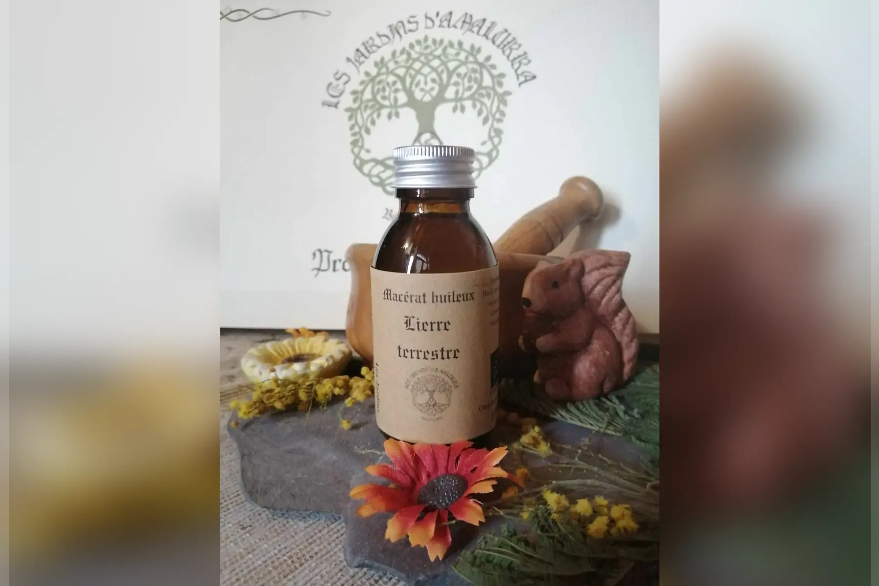 macérat huileux lierre terrestre