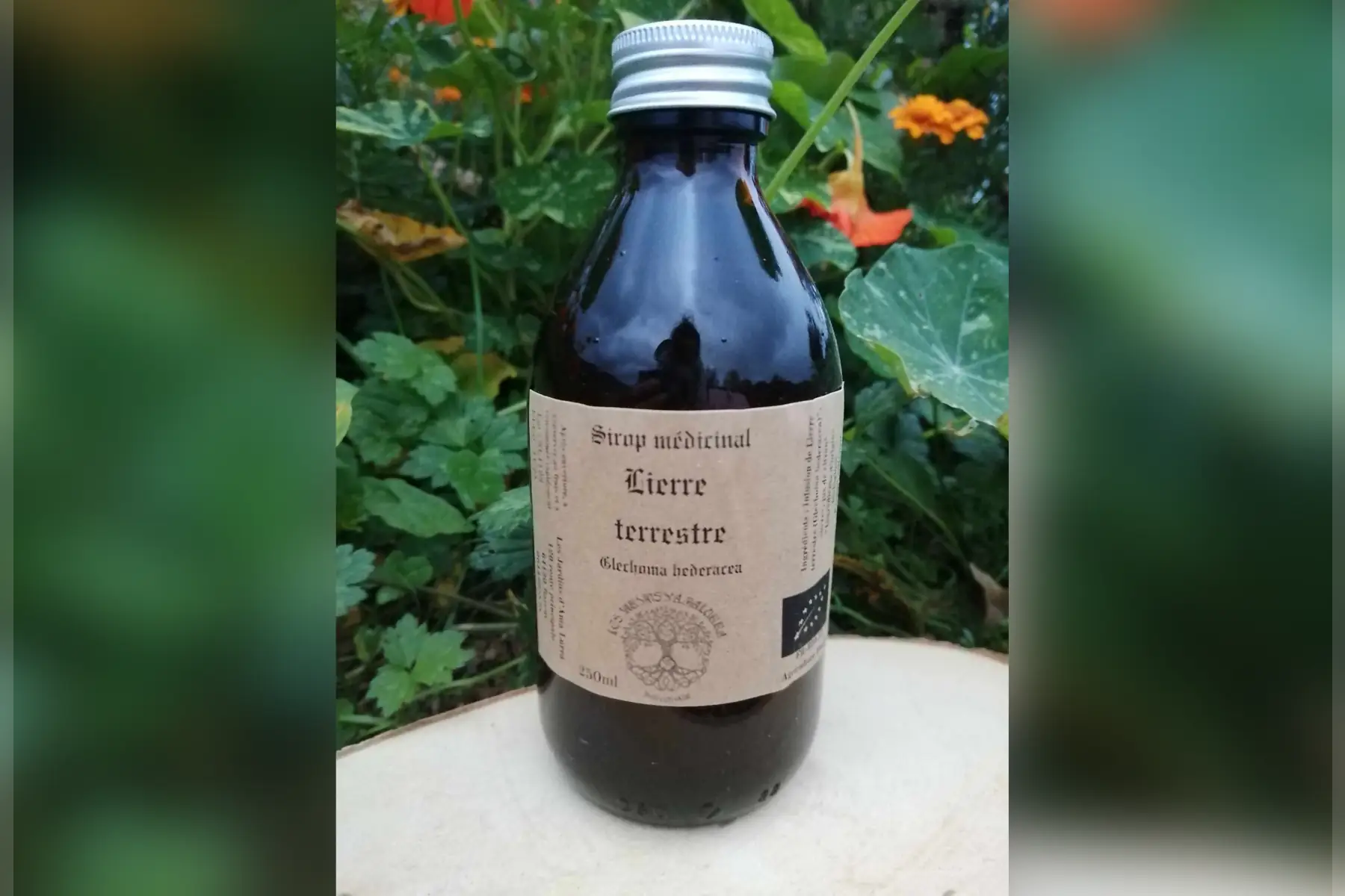 sirop médicinal de lierre terrestre