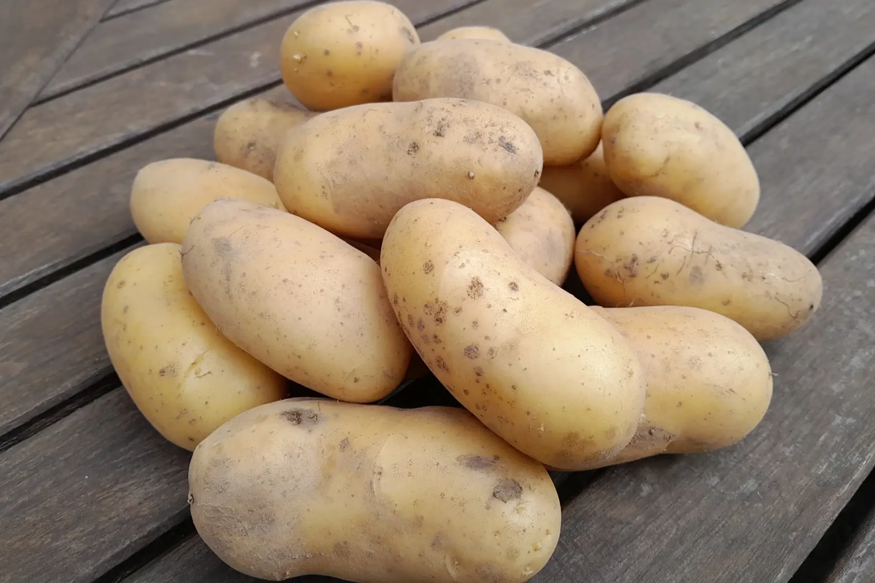 Pomme de terre non traitée