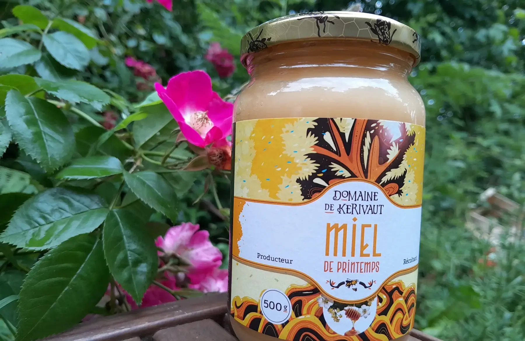 Miel de printemps ou d'été