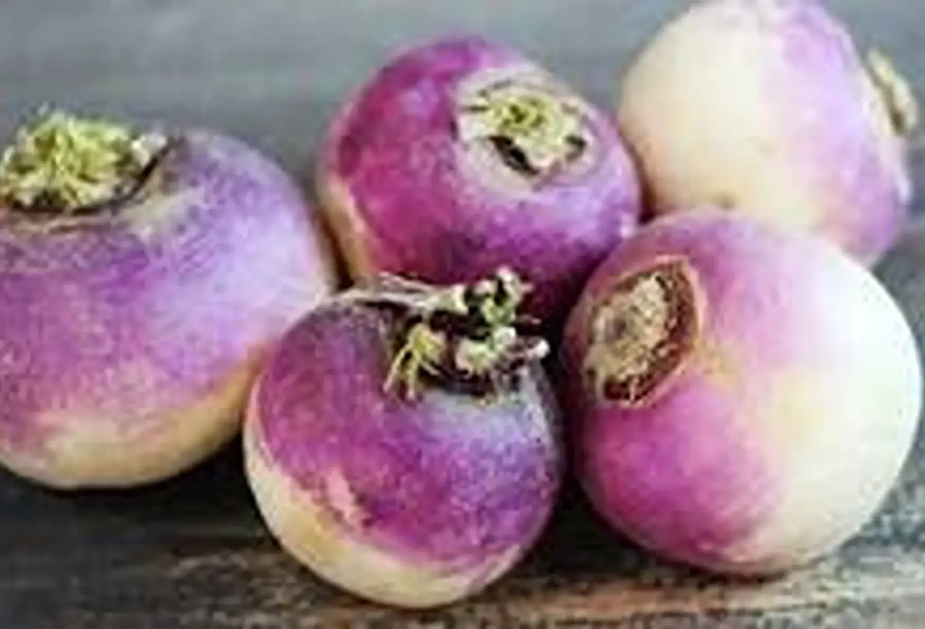 AU JARDIN DE CLARISSE