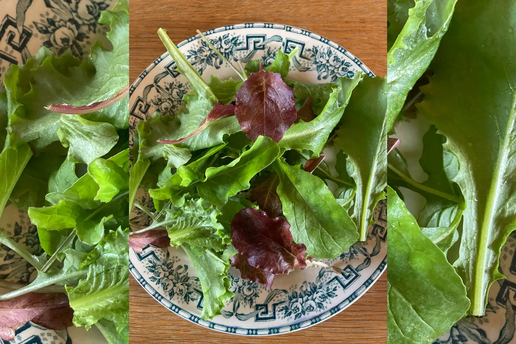 La Ferme du Rouge-gorge