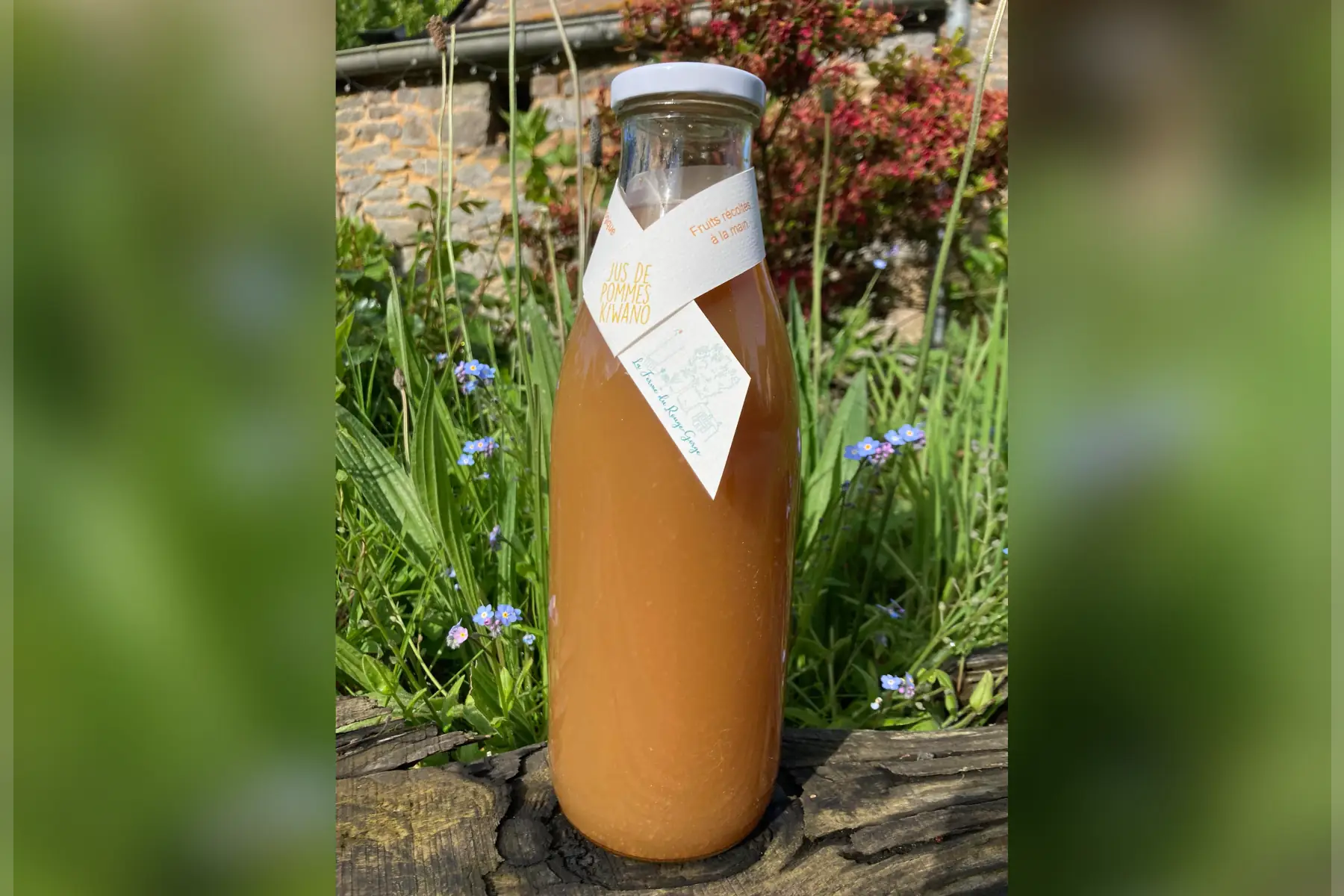 jus de pommes, kiwano