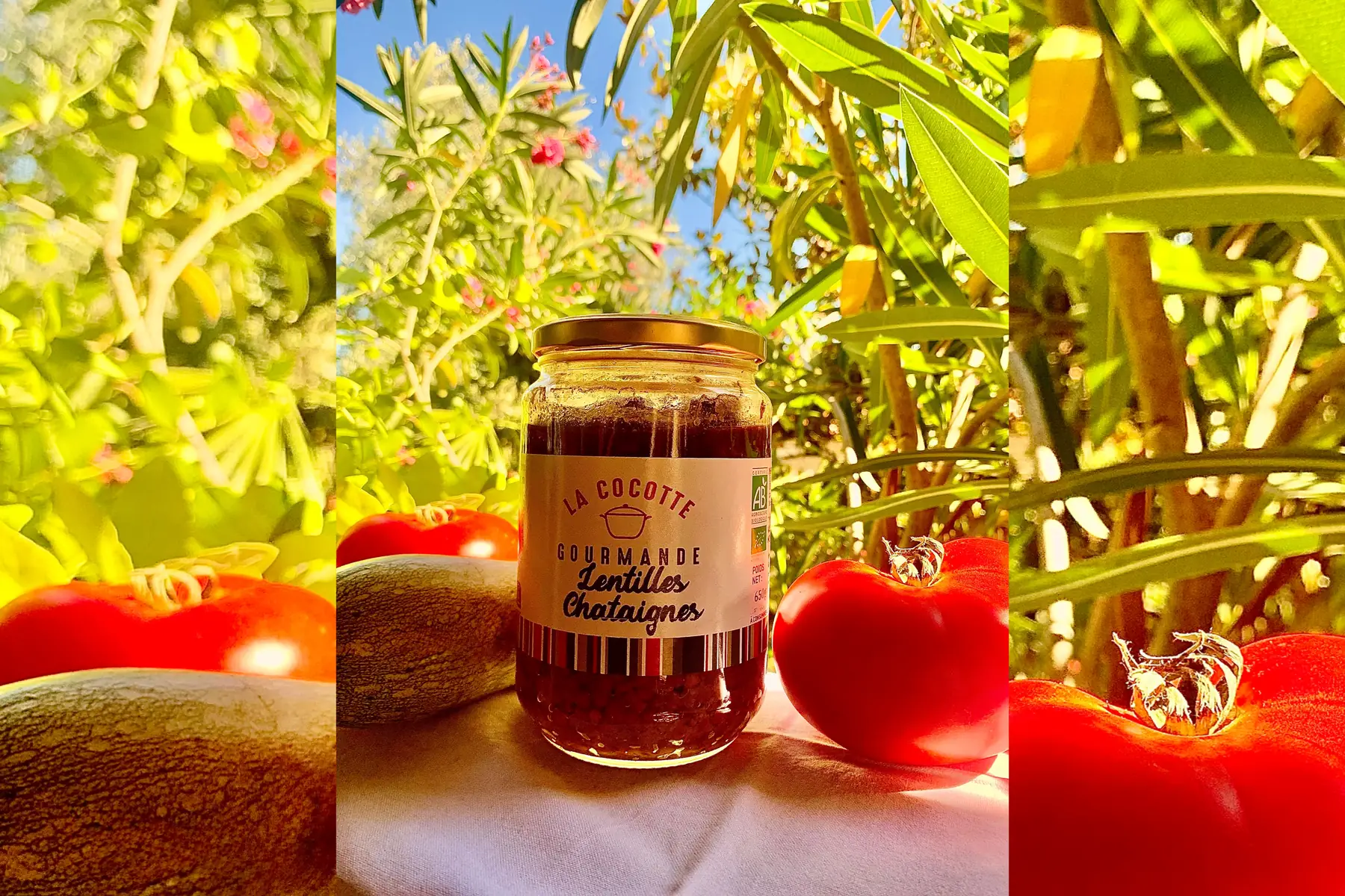 lentilles chataignes 650g