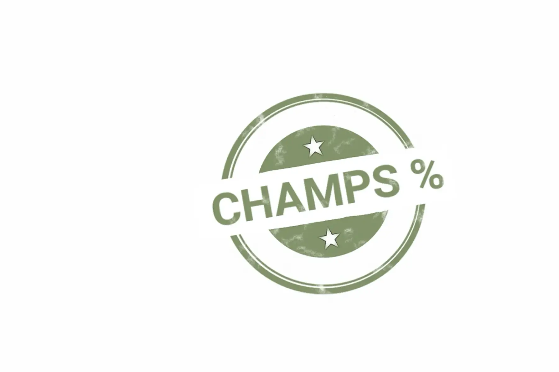 a table - tartilèg basilic - FIN DE SERIE : ))