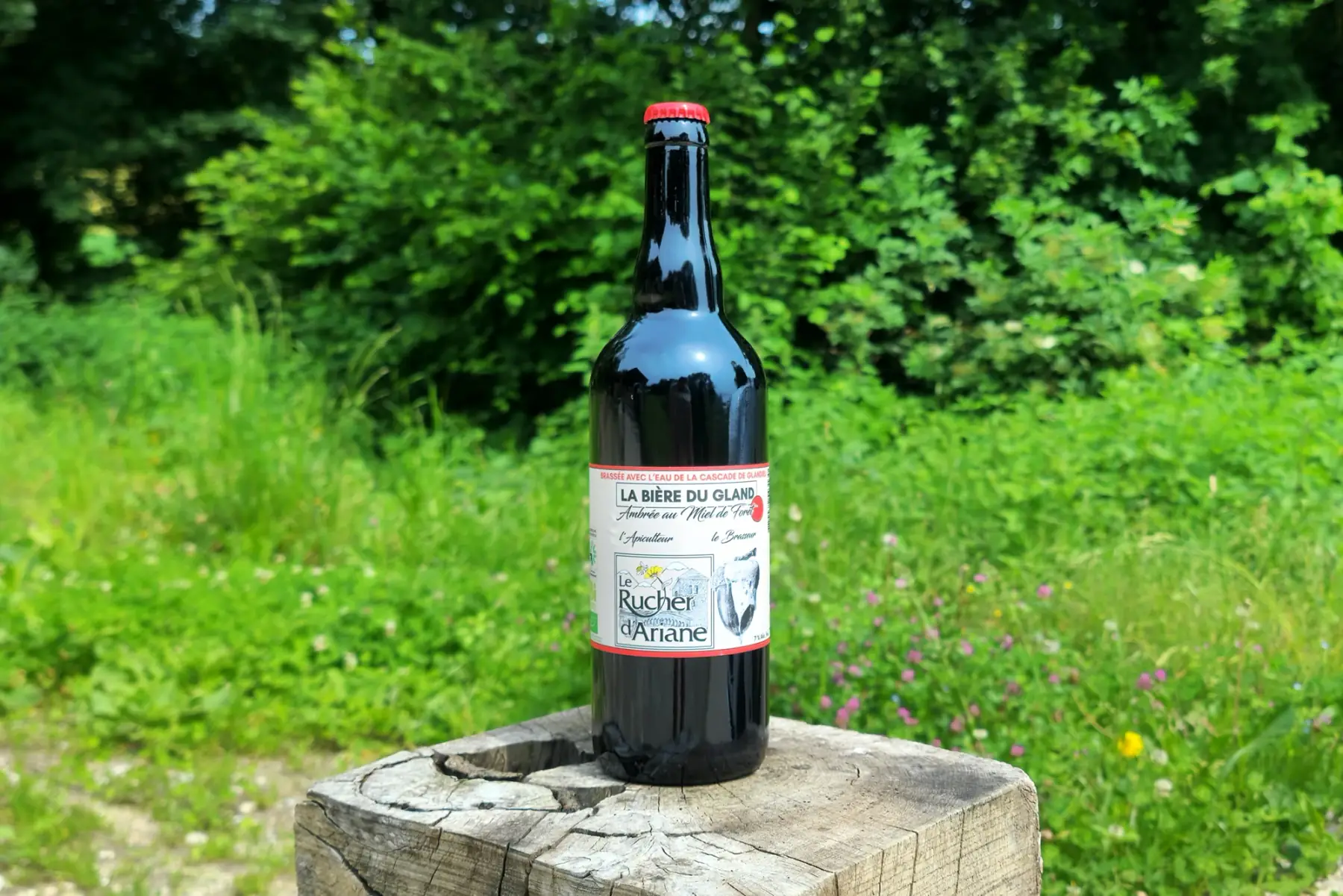 bière ambrée au miel de forêt
