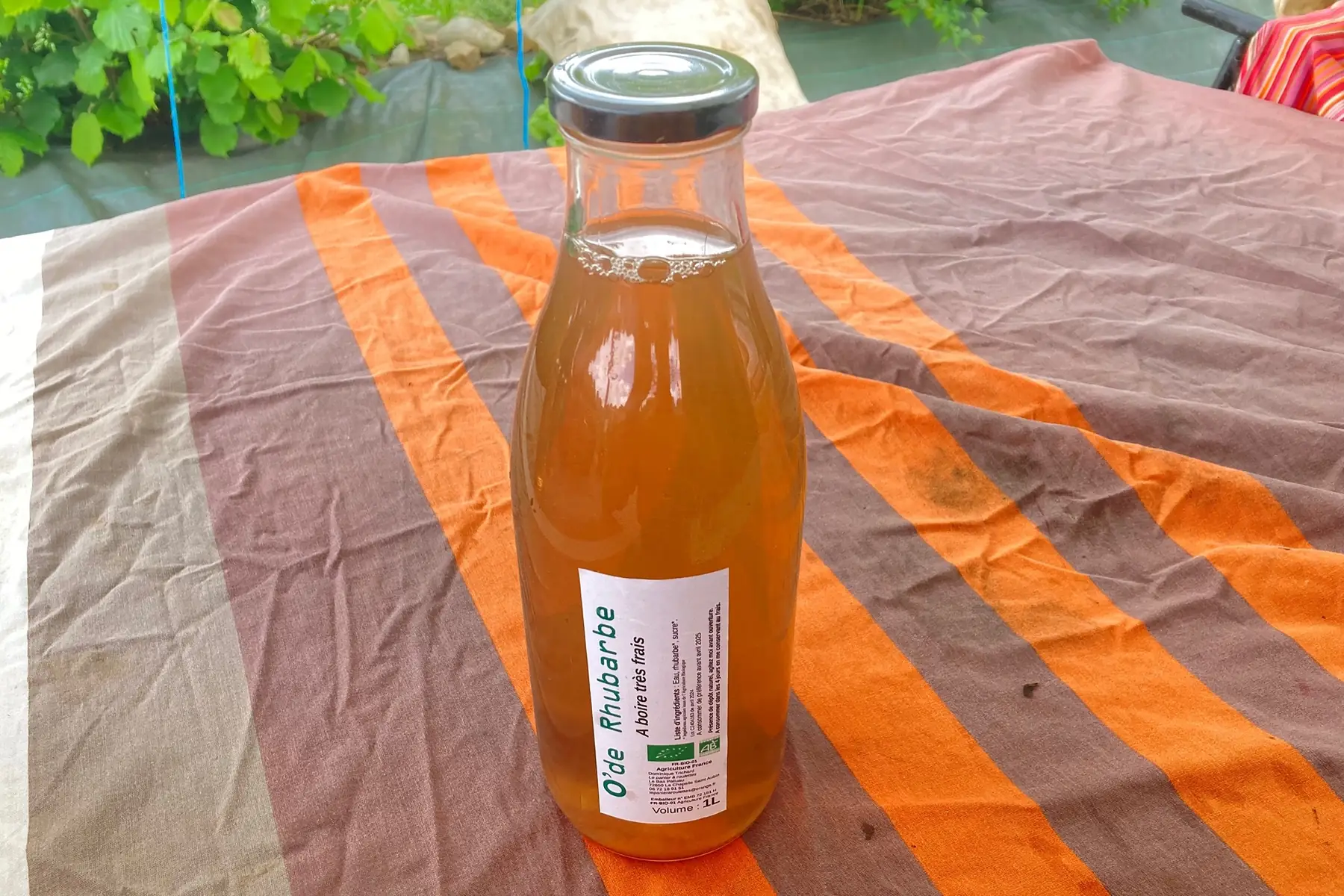 o’de rhubarbe