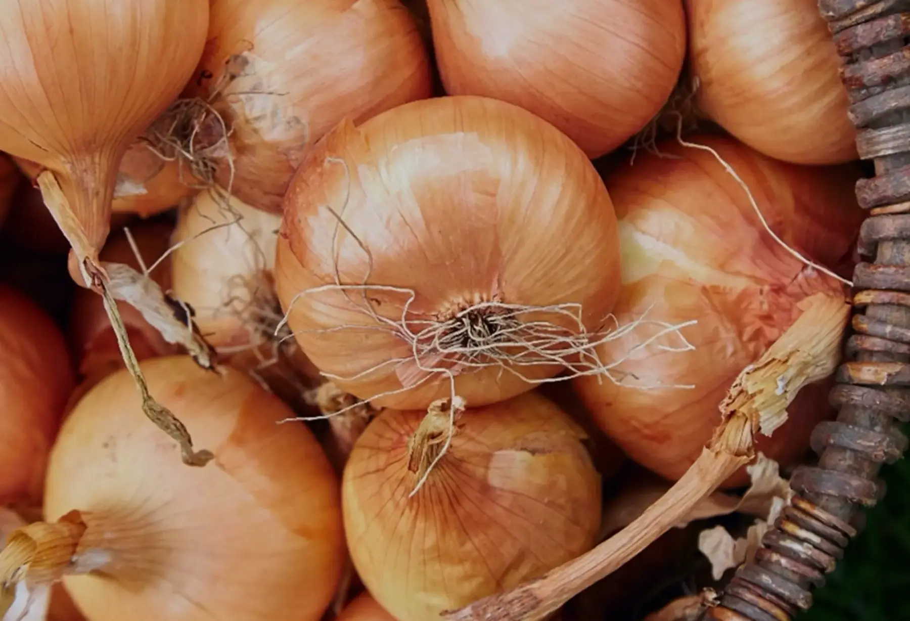 La ferme du Pech d'Auzonne