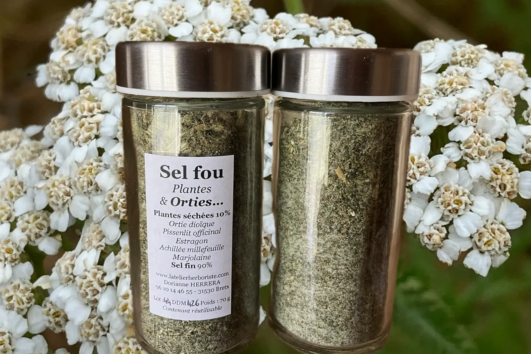 sel fou : plantes & orties...