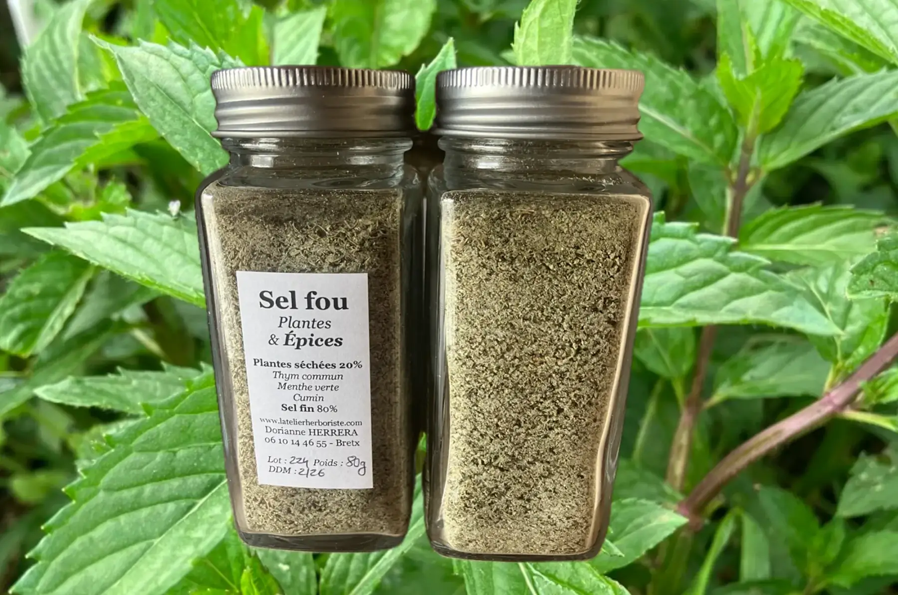 sel fou : plantes & épices