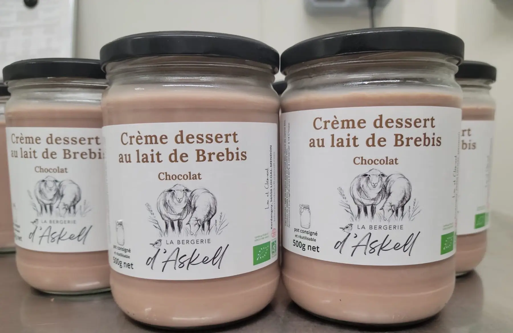 Crème dessert chocolat 500gr