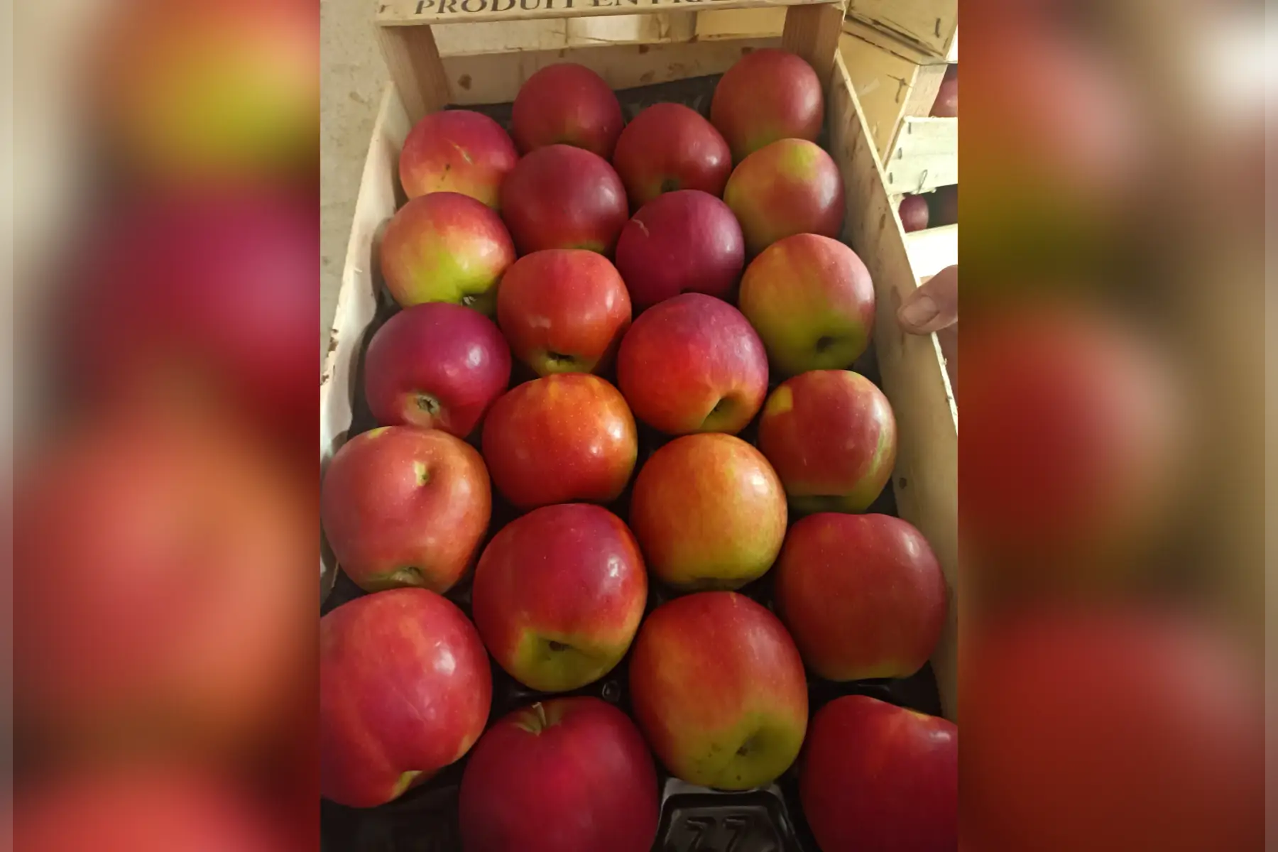 Plateau Crimsons crisp sans traitement tavelure