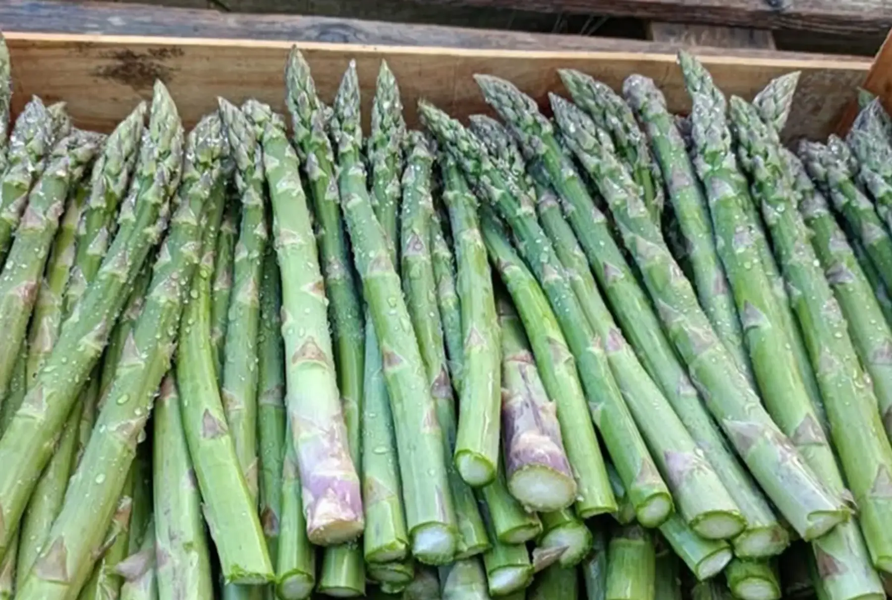 Asperges vertes gros calibre 1 kg