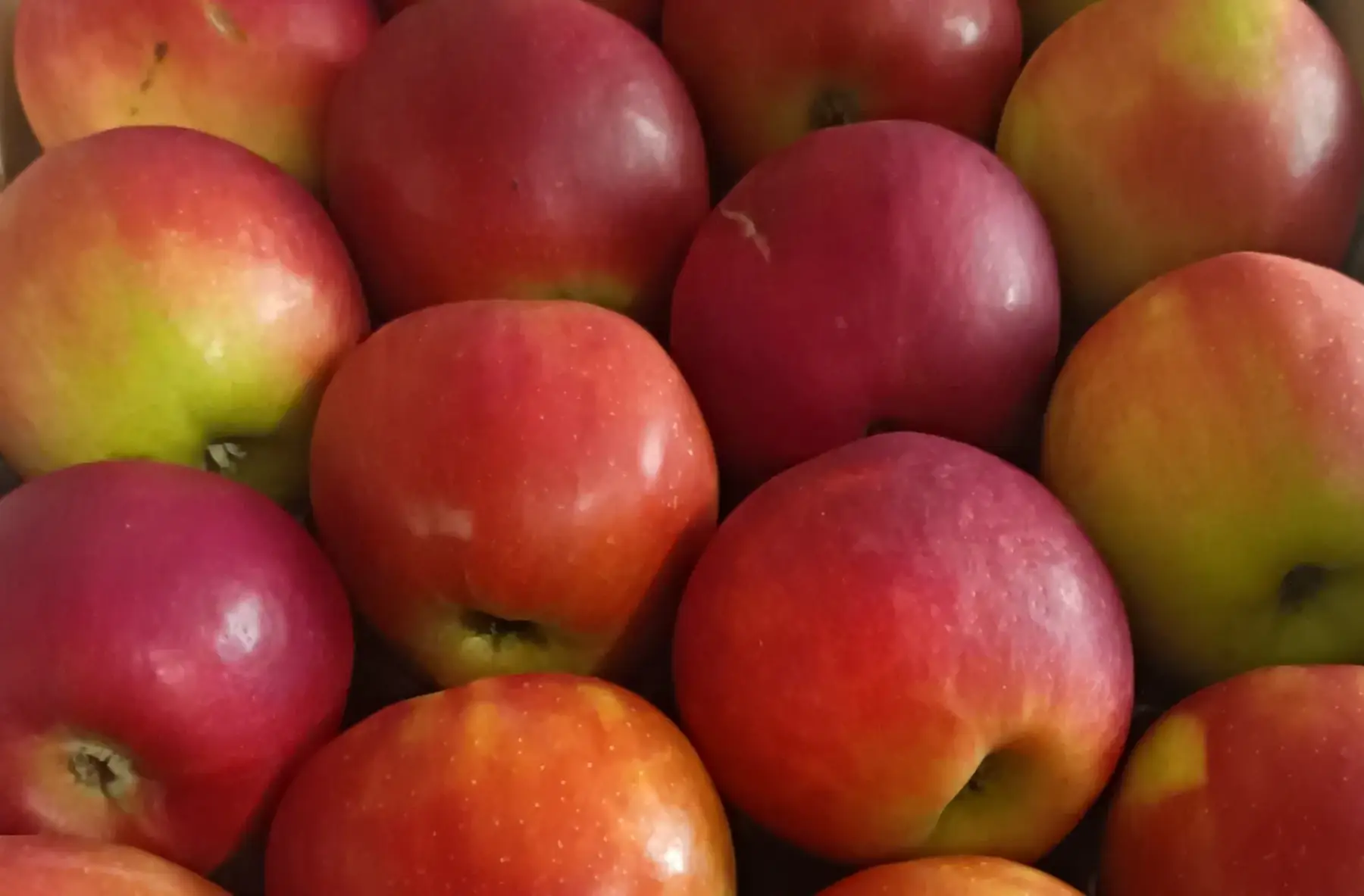 Pomme Crimsons Crisp